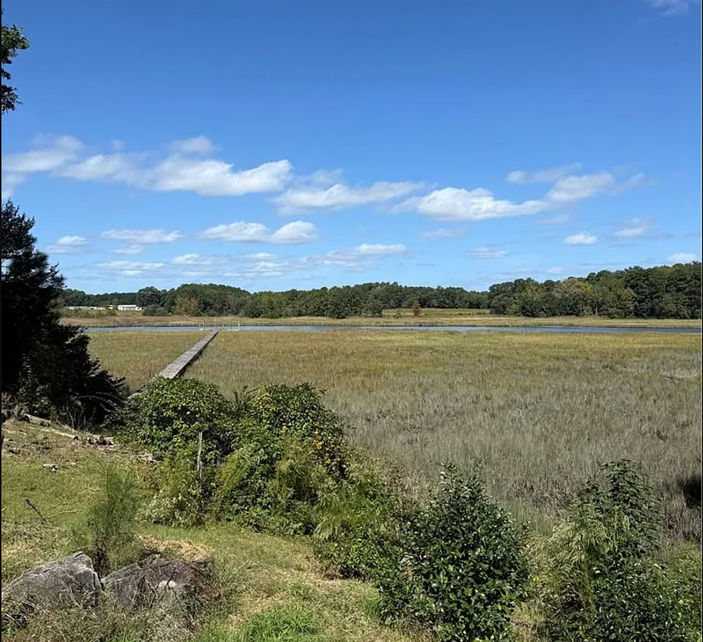 Screenshot 2025-10-08 234613